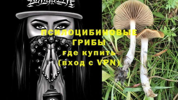 круглые Надым