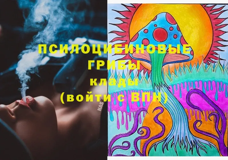 Галлюциногенные грибы Psilocybine cubensis Красновишерск